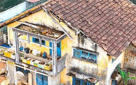 Cận cảnh biệt thự, khu nhà đất 'vàng' bỏ hoang, lãng phí ở Ðà Lạt