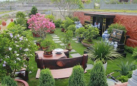 5 loại cây nên trồng trước mộ tổ tiên: Tăng phúc lộc, giữ vững vận khí dòng tộc