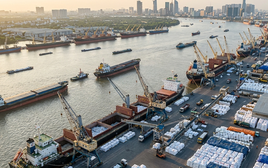 77 tàu cập cảng mang theo hơn nửa triệu tấn mặt hàng xuất khẩu chiến lược: 2 nước láng giềng mang tin vui lớn cho Việt Nam