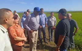 Cứ thứ Hai hàng tuần, nhiều người VN và nông dân Cuba cùng nhau làm 1 việc ý nghĩa trước khi ra cánh đồng