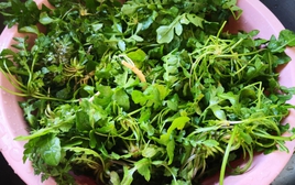 3 loại rau bổ gan, nên bổ sung ngay vào bữa ăn của cả nhà: Loại cuối cùng mọc hoang đầy Việt Nam