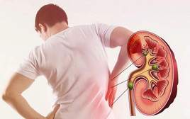 Tỷ lệ suy thận tăng nhanh: Bác sĩ nhắc, hàng ngày thường xuyên làm 4 VIỆC khiến thận "xuống cấp", bào mòn cơ thể