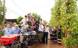 Từ “mỏ vàng đen” chìm giữa buôn làng đến di sản UNESCO: Cách Việt Nam định giá lại một báu vật của đất trời