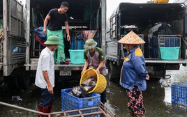 Cảnh ô nhiễm kéo dài tại chợ cá lớn nhất Hà Nội trước ngày bị giải tỏa