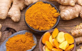 Mỹ phát hiện công dụng y khoa mới của nghệ và gừng