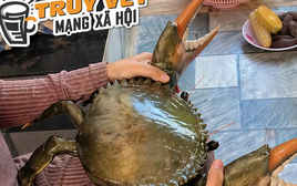 Clip con cua 7 kg ở An Giang nổi tiếng mạng xã hội với 4,4 triệu lượt xem