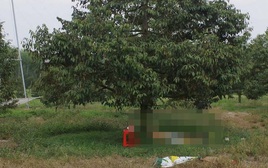 Điều tra vụ người đàn ông tử vong cạnh khẩu súng trong vườn sầu riêng