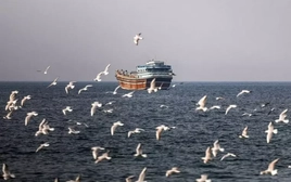 Có gì trên tàu hàng Iran bị Mỹ thu giữ trên Vịnh Oman?