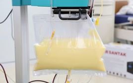 Mỡ máu cao gấp 20 lần, huyết tương đục như nước vo gạo