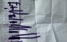 8 học sinh tiểu học ở TPHCM lập nhóm nói xấu, vu khống bạn cùng lớp: Nhà trường báo cáo gì?