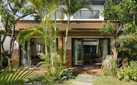 Gia đình đang trồng cau trước nhà cần biết điều này