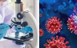 Tổ chức Y tế Thế giới công bố tin vui đến Bệnh viện Bệnh Nhiệt đới TPHCM