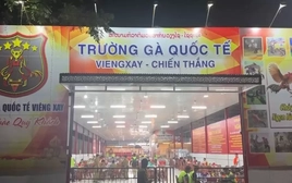 Triệt phá đường dây đá gà xuyên quốc gia, giao dịch hơn 1.200 tỷ đồng trong gần 1 tháng
