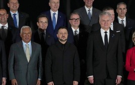 Giải cứu trước khi quá muộn