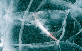 Tin vui bất ngờ: Các nhà khoa học hồi sinh thành công sinh vật 24.000 năm tuổi từ băng vĩnh cửu