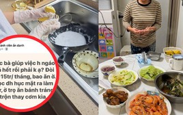 "Các bà giúp việc ngáo giá phải không ạ? Đòi 12 - 15 triệu bao ăn ở trong khi đại học ra đi làm lương 8 triệu"