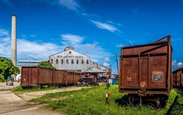 Từ 'Số 1 thế giới' đến phụ thuộc hàng nhập khẩu: Cuba tìm cách hồi sinh ngành công nghiệp xương sống