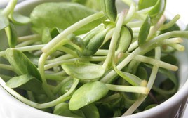 3 loại rau người Việt nên trồng trong nhà: Dễ chăm, nhanh thu hoạch, tốt cho sức khỏe