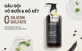 Dầu gội không chứa silicon của Việt Nam được ưa chuộng