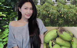 Doãn Hải My ở biệt thự mấy chục tỷ vẫn tự trồng cải xanh, cà chua, mồng tơi, vác rổ đi hái xoài như nông dân chính hiệu