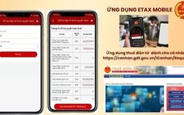 Hơn 95% hồ sơ hoàn thuế tự động, vì sao tiền chưa về tài khoản?