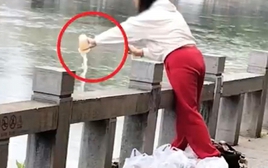 Phát hiện một người phụ nữ đổ hàng chục cốc trà sữa mới nguyên xuống sông để “phóng sinh”