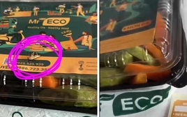 Vụ khách hàng tố có gián trong hộp cơm: Chủ quán nói gì?