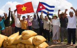 Cuba mở cánh cửa chưa từng có sau Cách mạng, Việt Nam lập tức xuất hiện: Dự án thứ hai bắt đầu 'hái quả'
