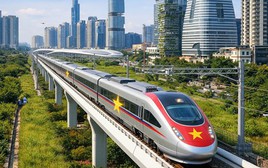 Hơn 80 đơn vị tư vấn muốn tham gia 'siêu dự án' đường sắt tốc độ cao Bắc-Nam