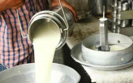 Đột kích một căn nhà, công an triệt phá đường dây sản xuất sữa giả từ hóa chất, tịch thu bột mì, sorbitol và máy pha trộn công nghiệp