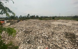 Ra quyết định khởi tố chủ cơ sở chế biến hàu Phạm Thị Thắm SN 1978