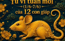 Tử vi tuần mới (1/6 - 7/6): 3 con giáp được Thần Tài "chọn mặt gửi vàng", công việc lên hương, tiền vào như nước