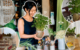 Tôi đã thử ngâm vài hạt đậu phộng trong nước suốt 15 ngày và bất ngờ nhận được một “khu rừng mini” xanh mát: Không tốn tiền mua cây mà vẫn có góc thư giãn cực chữa lành