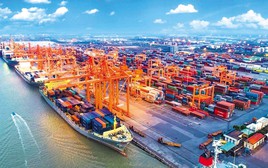 Nền kinh tế Việt Nam đứng thứ 22 thế giới?