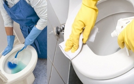 Mẹo khử mùi hôi nhà vệ sinh đơn giản và hiệu quả