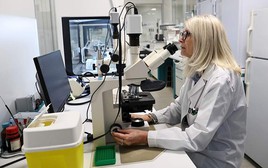 Mỹ tung tài liệu gây sốc về Ukraine, châu Âu đồng loạt im lặng?