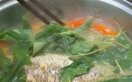 5 loại rau là "vua thải độc gan", càng ăn càng đốt mỡ, chống già: Chợ việt luôn sẵn!