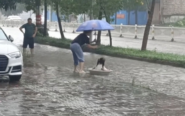 Đoạn clip vài giây trên phố ngày mưa ngập khiến hàng ngàn người ghen tỵ: Thật là 1 đứa trẻ GIÀU CÓ!