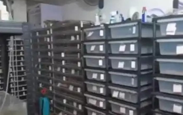 Phát hiện một căn hộ có lượng điện tiêu thụ nhiều bất thường, cảnh sát ập vào, chứng kiến cảnh tượng rùng mình