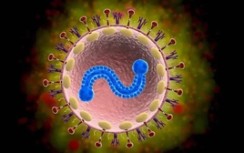 Bác sĩ Bạch Mai cảnh báo: 1 loại virus nhiều người tưởng chỉ trẻ em mới mắc, người già nhiễm dễ viêm phổi, suy hô hấp