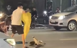 [Clip] Thót tim cảnh cá sấu 'dạo chơi' trên đường giữa trung tâm TP.Đồng Nai