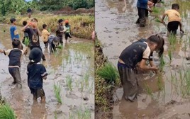 Xem 'khối nghỉ hè' cấy lúa, dân mạng gọi là con nhà người ta trong truyền thuyết