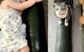 Ngủ với quả bí đao đang trở thành trào lưu gây sốt MXH: Bác sĩ tiết lộ 1 điều ít ai ngờ đến