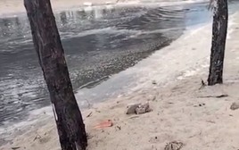 Thêm dòng nước thải đen ngòm đổ ra biển Sầm Sơn