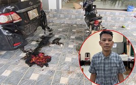 Bắt Nguyễn Văn Lực - kẻ mang xăng đốt xe ô tô nhà hàng xóm