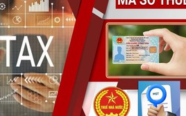 Cục Thuế phát cảnh báo nóng: Cho mượn CCCD để lập doanh nghiệp, bỏ địa chỉ kinh doanh, chưa giải thể đúng quy định sẽ bị rà soát