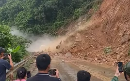 Khi thảm họa thành 'miếng mồi' trên mạng
