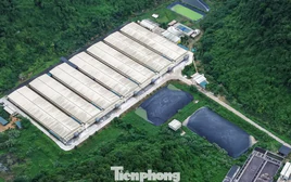 Thanh Hóa tổng kiểm tra cơ sở chăn nuôi sau vụ tai nạn trong trại lợn làm 5 người chết
