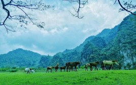 Không phải Sa Pa, đây là nơi được ví như "Mông Cổ thu nhỏ" của Việt Nam: Vừa lọt đề cử tốt nhất thế giới