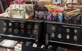 Thu giữ 33 túi xách hàng hiệu, vàng, đồng hồ xa xỉ chỗ bạn gái Mr Pips